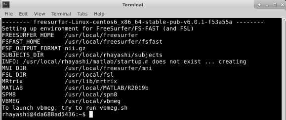 terminal on vbmeg docker desktop